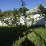 Kirayə (aylıq) 3 otaqlı Həyət evi/villa Qəbələ 6
