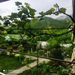 Kirayə (günlük) 3 otaqlı Həyət evi/villa Qax 15