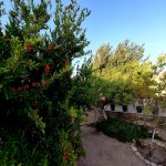 Satılır 2 otaqlı Bağ evi, Şüvəlan, Xəzər rayonu 8