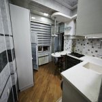 Kirayə (aylıq) 2 otaqlı Yeni Tikili, Gənclik metrosu, Nərimanov rayonu 14