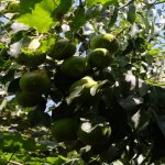 Satılır 3 otaqlı Həyət evi/villa Sumqayıt 1