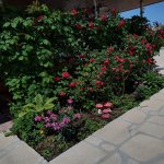 Satılır 4 otaqlı Bağ evi, Goradil, Abşeron rayonu 22
