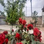 Satılır 3 otaqlı Həyət evi/villa, kənd Əhmədli, Xətai rayonu 16