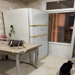 Kirayə (günlük) 2 otaqlı Köhnə Tikili, 28 May metrosu, Səbail rayonu 12