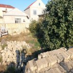Satılır Torpaq, Saray, Abşeron rayonu 9