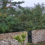 Kirayə (günlük) 3 otaqlı Həyət evi/villa Qusar 3