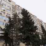 Kirayə (aylıq) 3 otaqlı Köhnə Tikili, 8-ci mikrorayon, Binəqədi rayonu 1