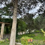Satılır 5 otaqlı Bağ evi, Nardaran qəs., Sea Breeze, Sabunçu rayonu 6