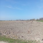 Satılır Torpaq Xaçmaz 3