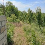 Satılır Torpaq Quba 4