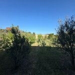 Satılır Torpaq, Şüvəlan, Xəzər rayonu 3