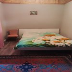 Kirayə (günlük) 2 otaqlı Bağ evi Quba 21