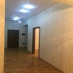 Kirayə (aylıq) 3 otaqlı Yeni Tikili, Səbail rayonu 12
