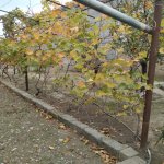 Satılır 3 otaqlı Həyət evi/villa Xırdalan 15