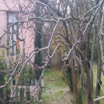 Satılır 3 otaqlı Həyət evi/villa, Şüvəlan, Xəzər rayonu 10
