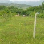 Продажа Участок Исмаиллы 4