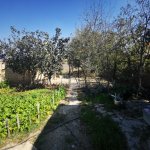 Satılır Torpaq, Nardaran qəs., Sabunçu rayonu 6