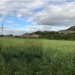 Satılır Torpaq Qəbələ 1