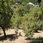 Satılır 3 otaqlı Həyət evi/villa İsmayıllı 19