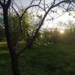 Satılır Torpaq İsmayıllı 1