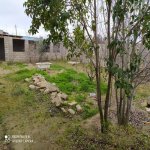 Продажа 4 комнатная Дома/Виллы, м. Короглу метро, пос. Маштага, Сабунчу район 15