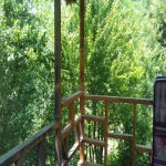 Kirayə (günlük) 5 otaqlı Həyət evi/villa Lerik 18