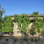 Satılır 3 otaqlı Həyət evi/villa, Saray, Abşeron rayonu 8