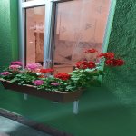 Kirayə (günlük) 2 otaqlı Həyət evi/villa Quba 11