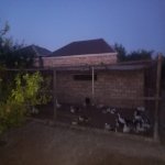 Satılır Torpaq, Maştağa qəs., Sabunçu rayonu 12