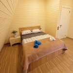 Kirayə (günlük) 4 otaqlı Həyət evi/villa Qəbələ 7