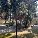 Satılır Torpaq, Mərdəkan, Xəzər rayonu 12