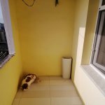 Satılır 3 otaqlı Köhnə Tikili, Həzi Aslanov metrosu, H.Aslanov qəs., Xətai rayonu 6