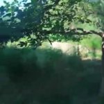 Продажа 4 комнатная Дома/Виллы Горанбой 6