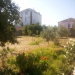 Satılır Torpaq, Maştağa qəs., Sabunçu rayonu 1