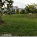 Kirayə (aylıq) Obyekt, Nizami metrosu, Beşmərtəbə, Yasamal rayonu 12
