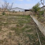 Продажа Участок, пос. Бюльбуля, Сураханы район 3