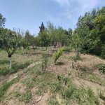 Satılır 6 otaqlı Bağ evi, Novxanı, Abşeron rayonu 39