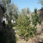 Kirayə (aylıq) 3 otaqlı Bağ evi, Zaqulba, Xəzər rayonu 9