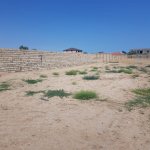 Satılır Torpaq, Novxanı, Abşeron rayonu 2