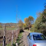 Satılır Torpaq Quba 4