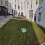 Kirayə (aylıq) 5 otaqlı Ofis, Nəriman Nərimanov metrosu, Nərimanov rayonu 2