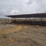 Satılır Torpaq, Pereküşkül, Abşeron rayonu 2