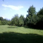 Satılır Torpaq Qəbələ 4