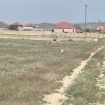Satılır Torpaq Xırdalan 4