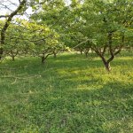 Продажа Участок Губа 5
