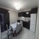 Kirayə (günlük) 3 otaqlı Həyət evi/villa Qəbələ 8