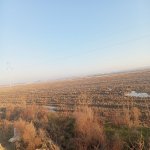 Satılır Torpaq, Pereküşkül, Abşeron rayonu 6