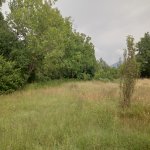 Продажа Участок Гябяля 5