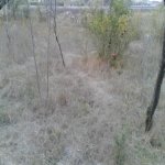 Satılır Torpaq Sumqayıt 3