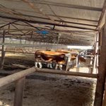 Продажа Объект, Зиря, Академия Авиации, Хязяр район 1